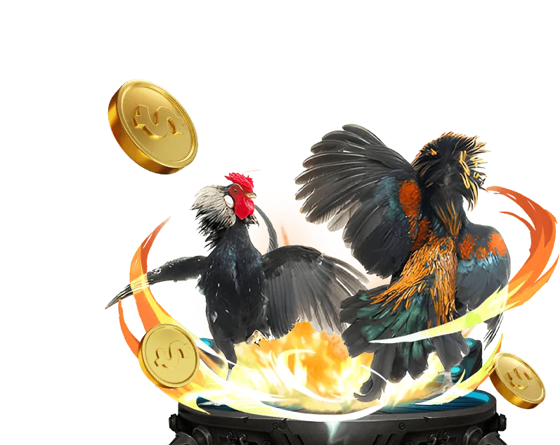 Xem cờ bạc là hình thức giải trí tại bet66 casino